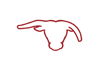 Crossfire Bullriding Logo